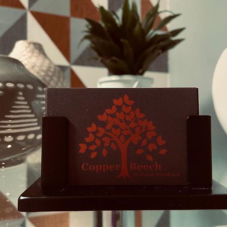 Yoxford Copperbeech B&B المظهر الخارجي الصورة